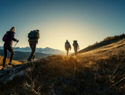 Rekomendasi Jalur Pendakian Gunung Mudah dengan Panorama Alam Indah