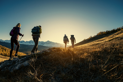 Rekomendasi Jalur Pendakian Gunung Mudah dengan Panorama Alam Indah