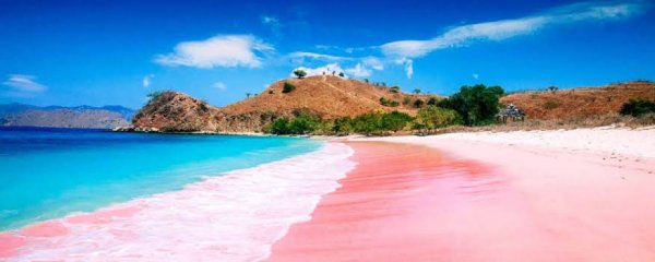 Asal Mula Pantai Pink Flores Bisa Berwarna Cantik